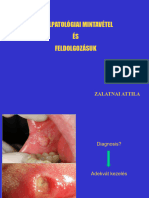 FOK-Oralpat-mintavetel-orofacialis Fejlodesi Rendell - ZA-1