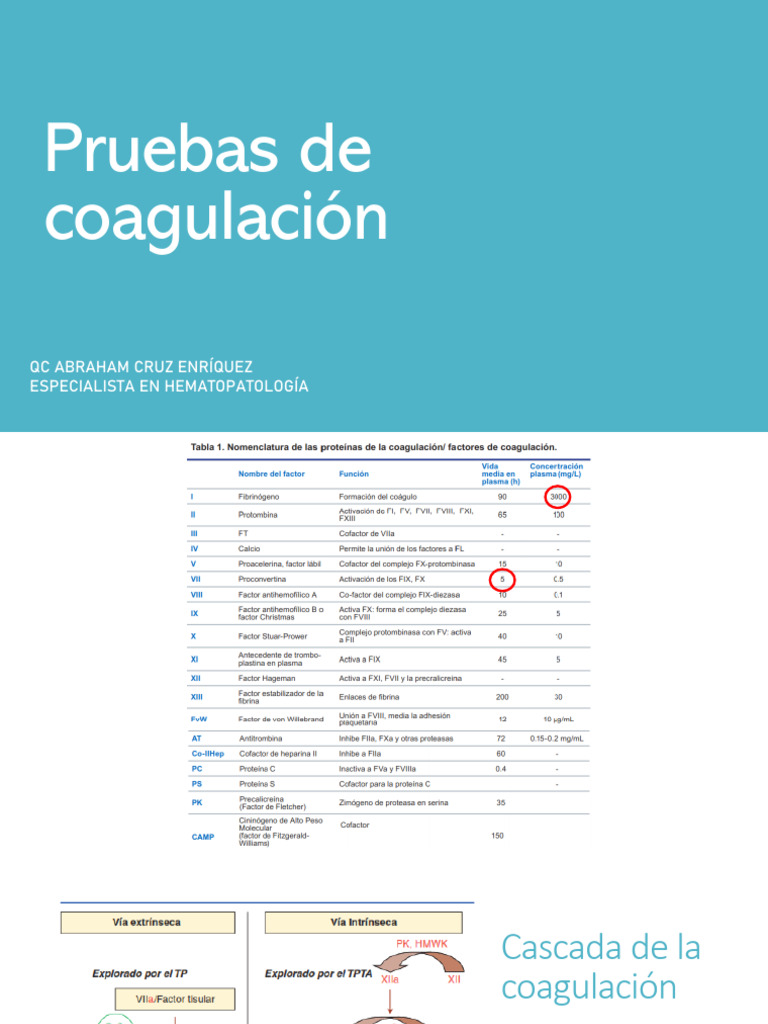 Pruebas de Coagulación | Descargar gratis PDF | Coagulación ...