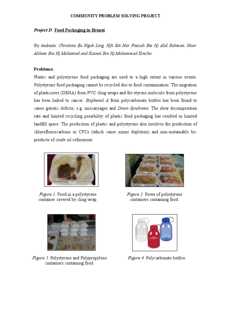 Reducing Plastic Packaging in Brunei | PDF | Polystyrene | Plastic