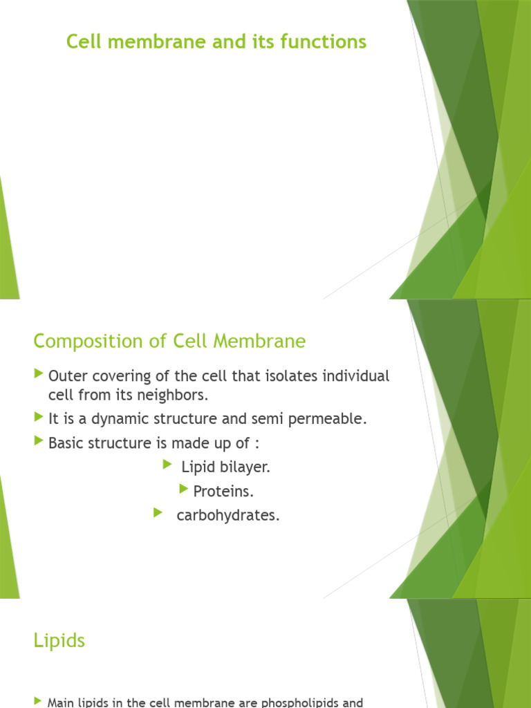 Cell Membrane Structure and Functions | PDF | Cell Membrane | Lipid Bilayer