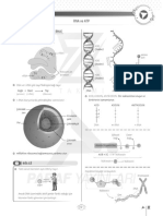 ATP Metabolizma Ve Ayıraçlar Biosem - Paraf