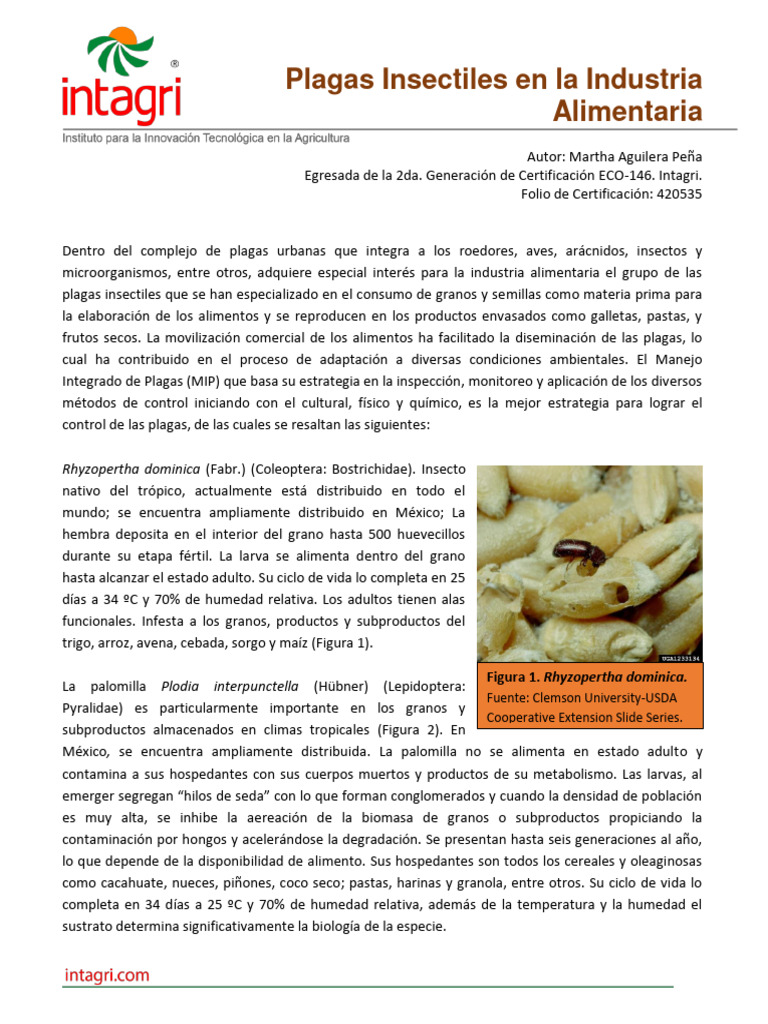 Plagas Insectiles en La Industria Alimentaria | PDF | Alimentos | Insectos