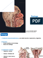 Tema 2.2. Faringe