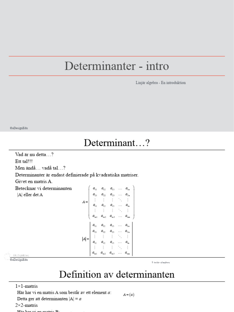 5 - Determinanter Intro | PDF