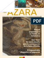 Revista Azara 2020 Nro 008