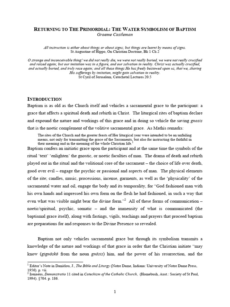 Returning To The Primordial The Water Sy Pdf Baptism Grace In