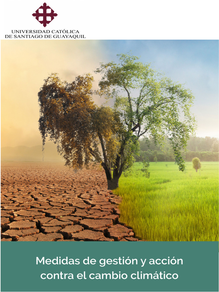 Medidas contra el Cambio Climático | PDF | Grupo Intergubernamental de ...