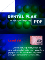 1 2-) Dental Plak