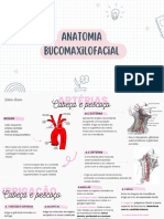 Anatomia Bucomaxilofacial