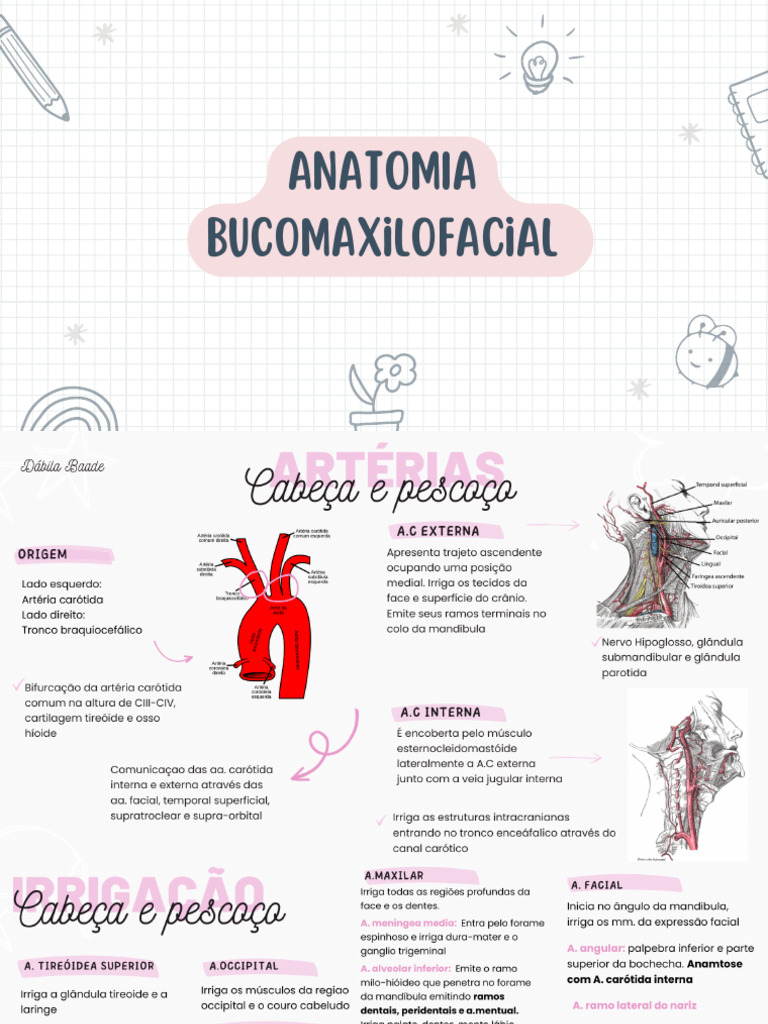 Anatomia Bucomaxilofacial Pdf Anatomia Sistema Nervoso