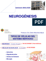 NEUROGÉNESIS