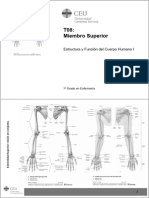 EFCH I T08 Miembro Superior