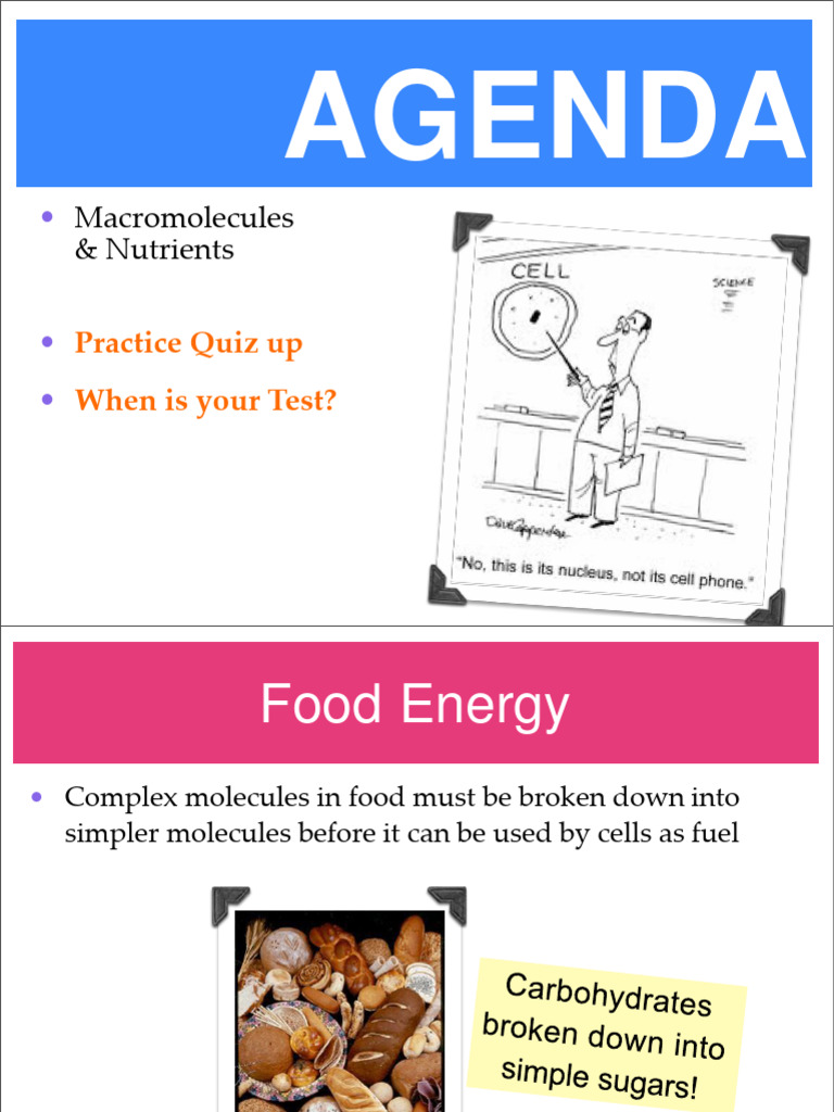 Understanding Macromolecules and Nutrients | PDF | Carbohydrates | Lipid