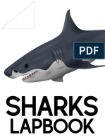 Sharks: Lapbook