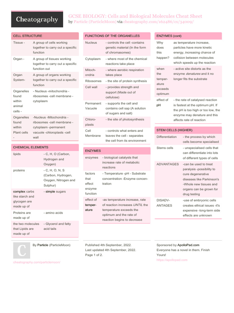 GCSE Biology: Cells & Molecules Guide | PDF | Cell (Biology) | Enzyme