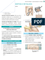 4 - Enxertos e retalhos - resumo