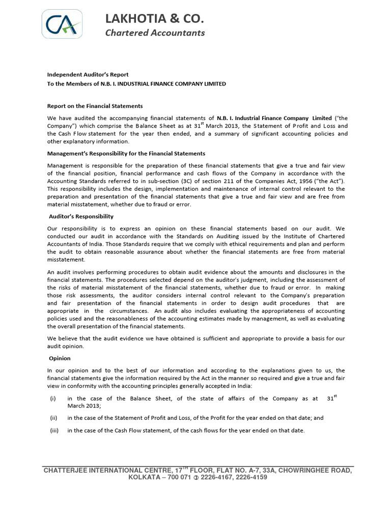 Audit report 2013 download free pdf financial audit audit
