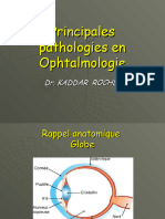 22-06 Pathos Ophtalmo