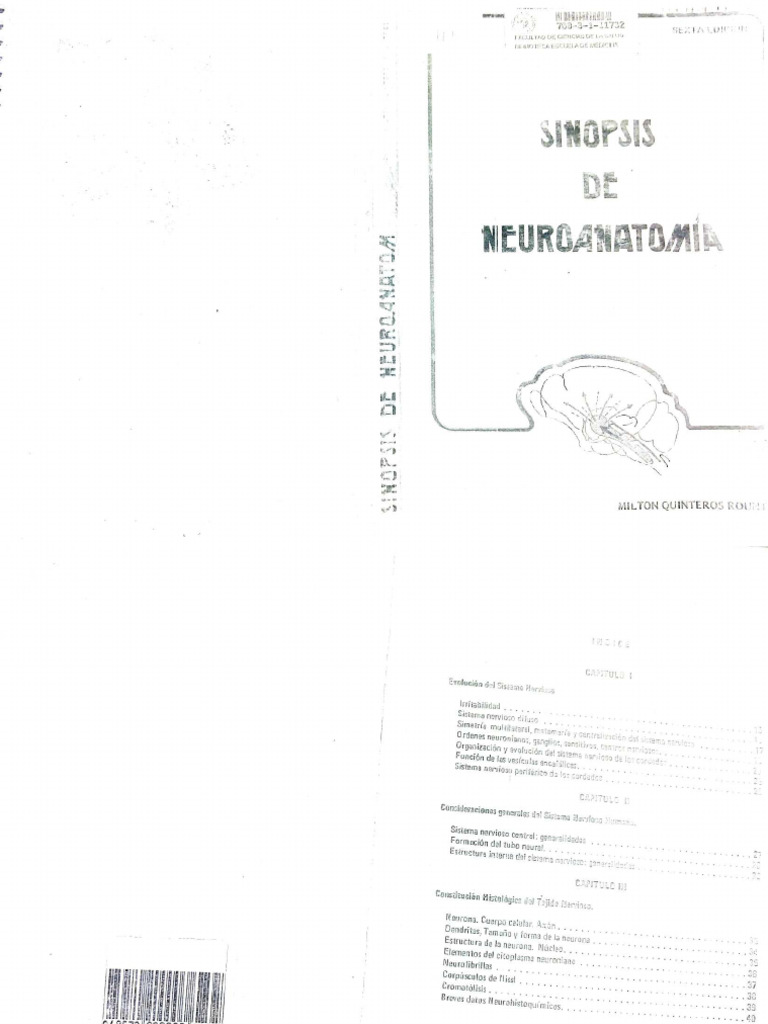 Quinteros Neuroanatomia Oficial Pdf Cerebelo Corteza Cerebral