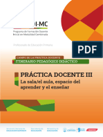 IPD PRACTICA DOCENTE - 3er AN O PEI PEP 2023