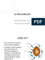 La Fecundación