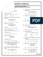 Tarea de Division Algebraica 2024