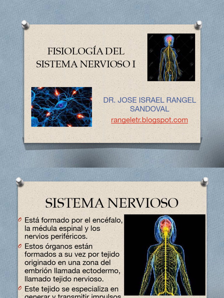 Fisiología del Sistema Nervioso I | PDF | Sistema nervioso | Sinapsis