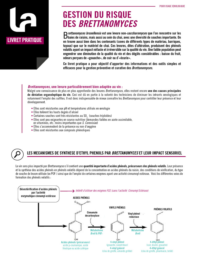 LP FR Gestion Du Risque Brettanomyces | PDF | Vins | Vinification