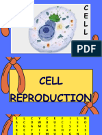 PPT-CELL REPRODUCTION