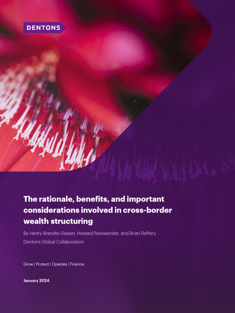 Brand-133291-DFO Whitepaper On Cross-Border Wealth Structuring-04 FINAL ...