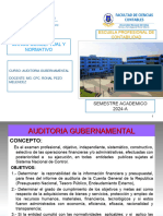 Auditoria Gubernamenta