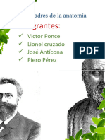 Padres de La Anatomía