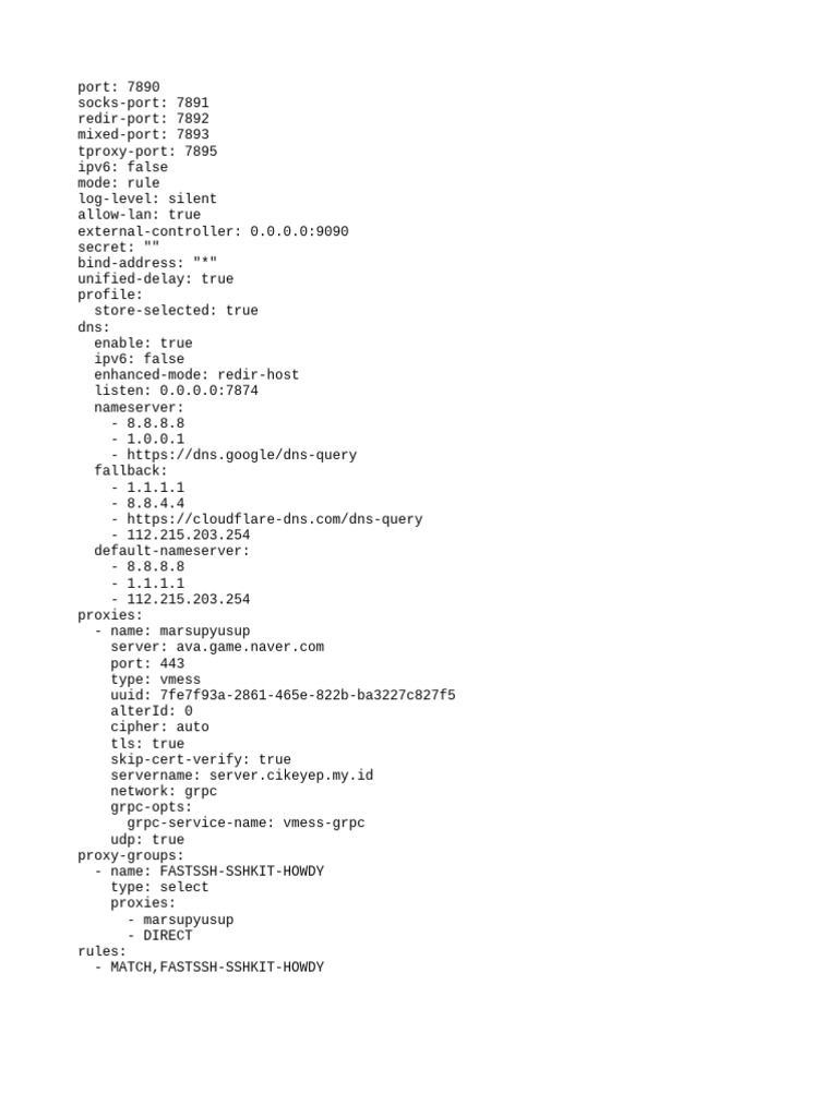 Vmess Proxy Configuration Guide | PDF
