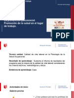 Material Informativo - PPT - Sesion 13