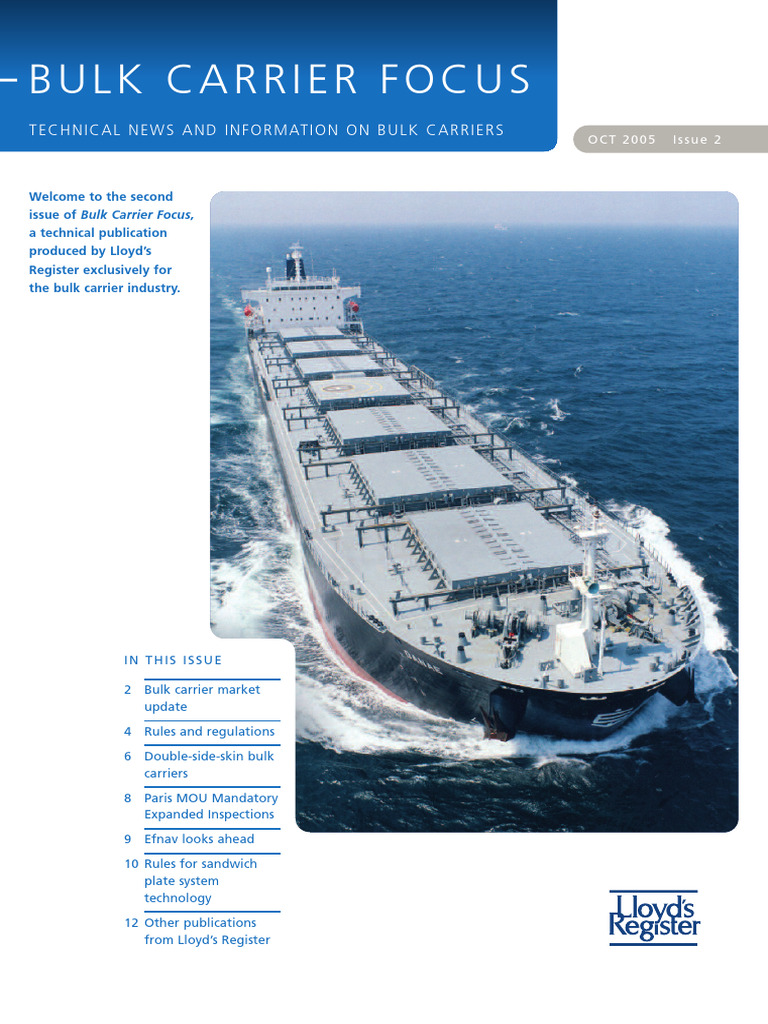 Capesize Bulk Carrier Market Insights | PDF | Ships | Cargo