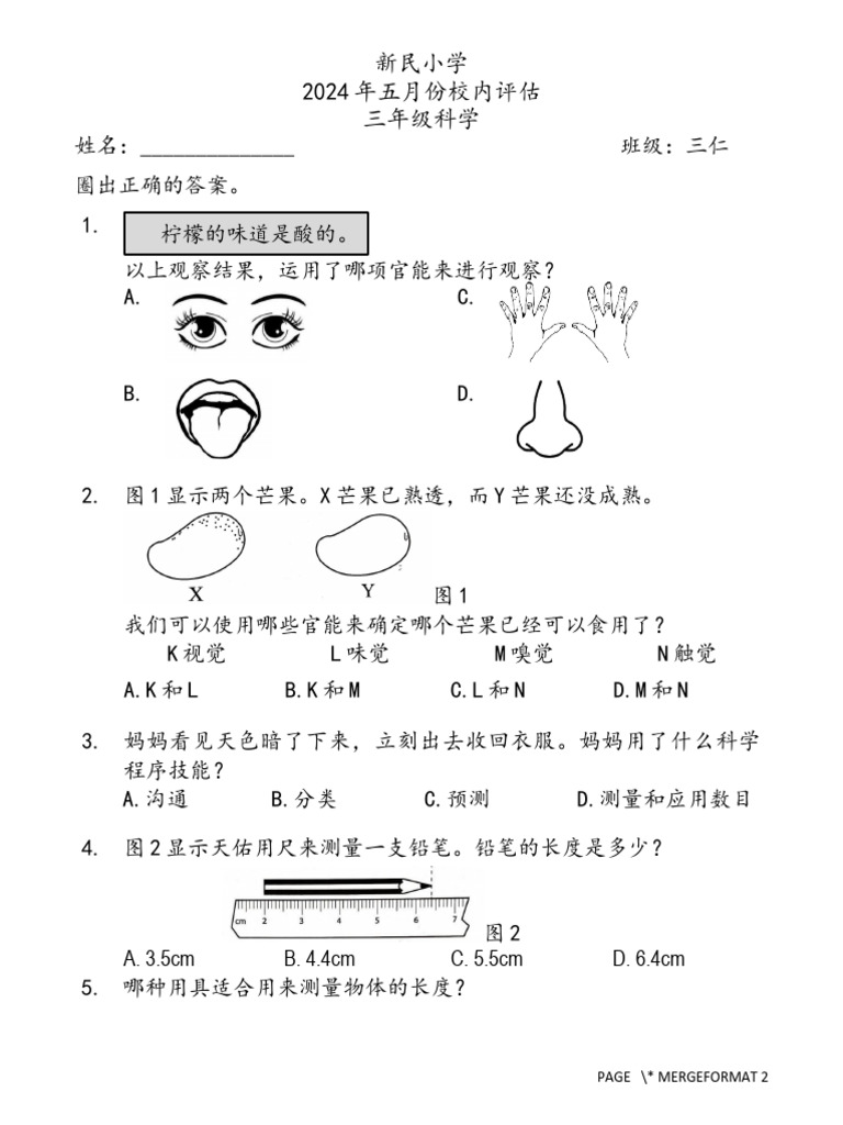 Page mergeformat 2 pdf
