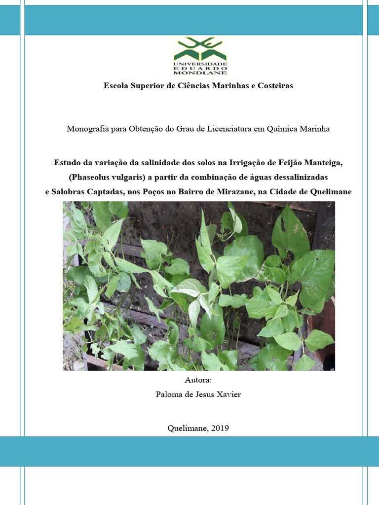 Limpeza de Piscina com Água Verde, image size:768x1024