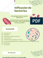 Identificación de Bacterias - Seminario