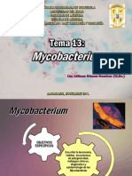 TEMA 13 Micobacterias
