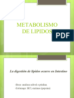 Metabolismo de Lipidos