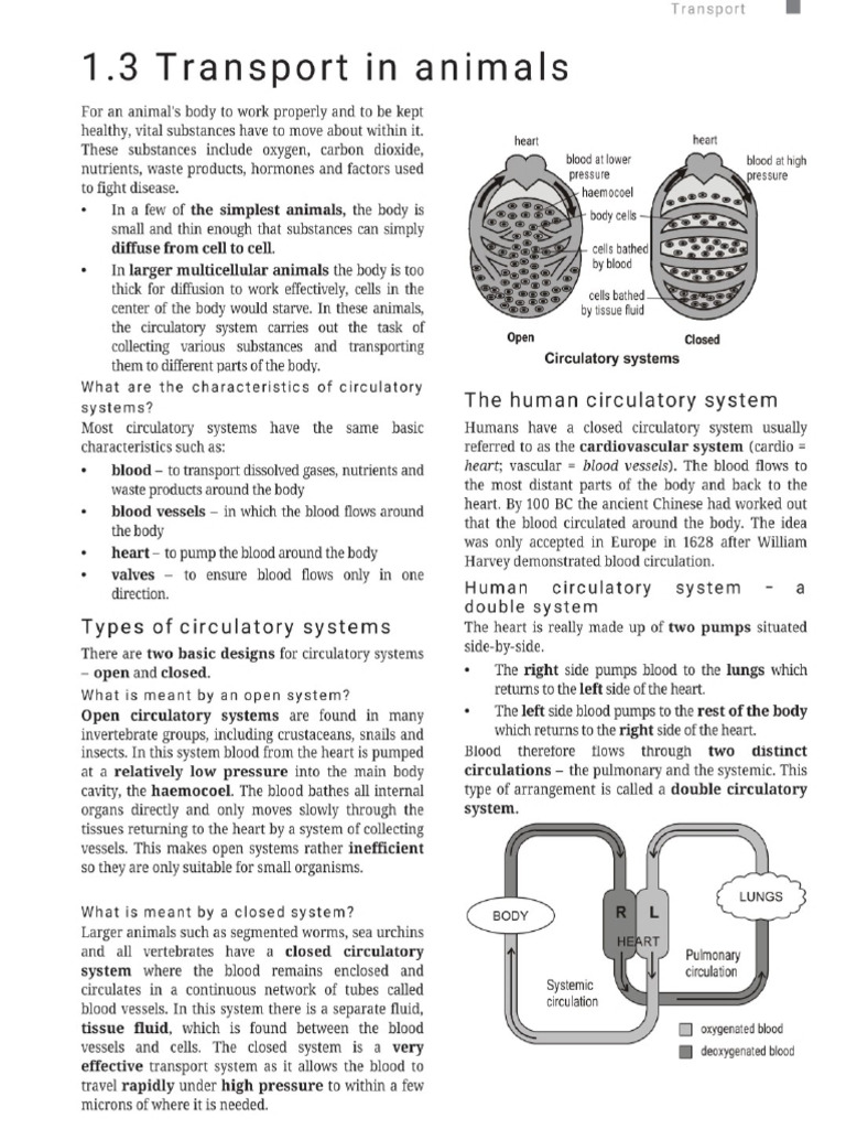 Textbook Pages 79-112 | PDF