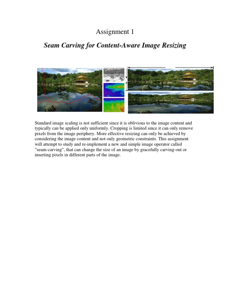 Seam Carving for Image Resizing | PDF
