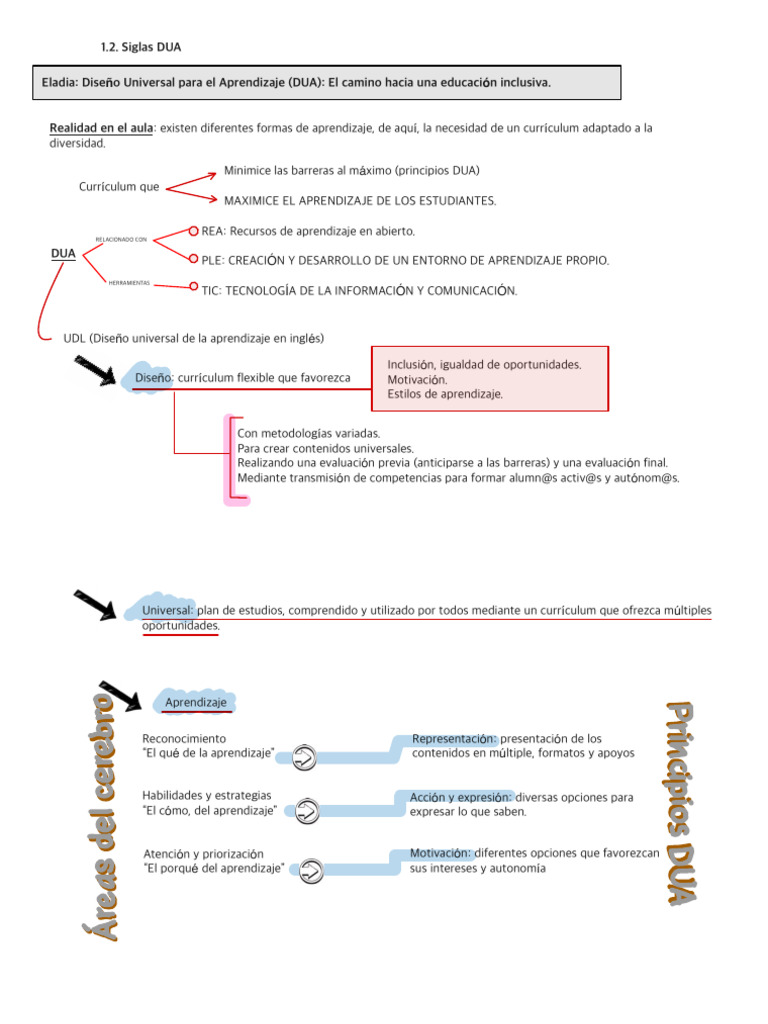 Educación Inclusiva con DUA | PDF | Plan de estudios | Aprendizaje