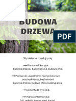 Budowa Drzewa