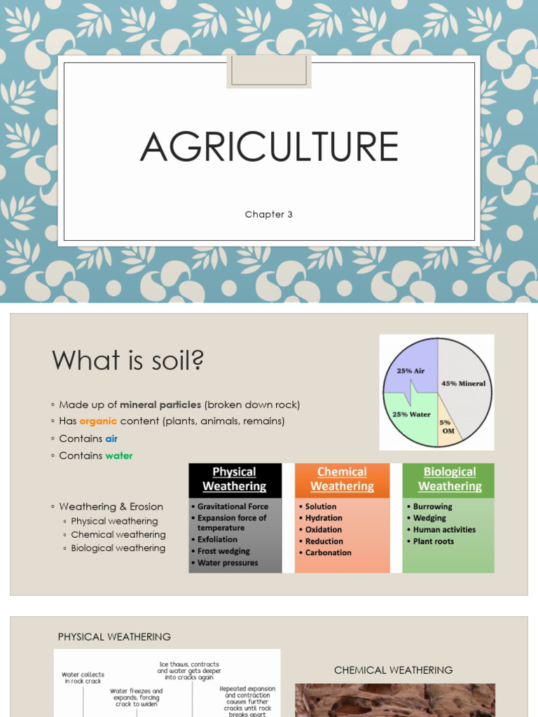Understanding Soil and Agriculture Basics | PDF | Agriculture | Soil