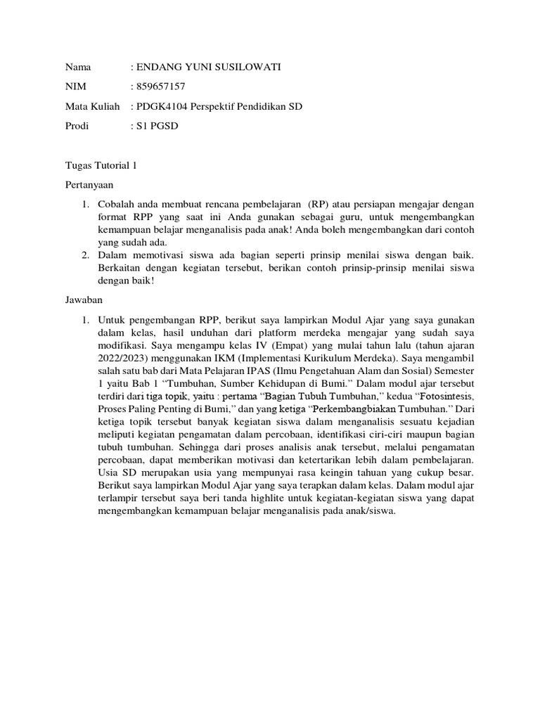 RPP dan Prinsip Penilaian Siswa SD | PDF