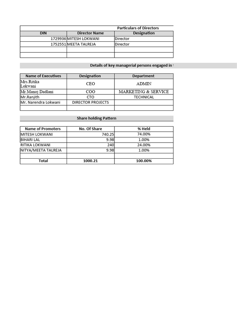 Company Directors and Management Overview | PDF | Solid State