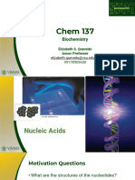 VSU 2020 PPT Nucleic Acid