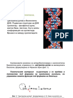 2-4 Nucleic Acids N