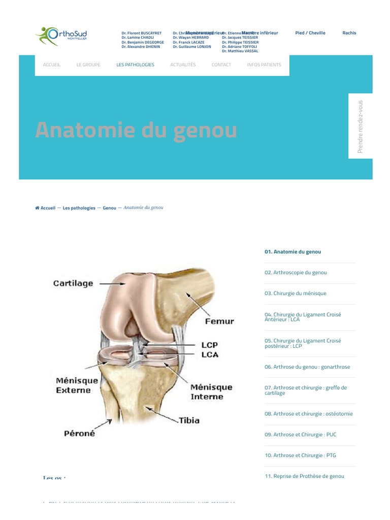 Anatomie du Genou et Chirurgie Associée | PDF | Genou | Anatomie